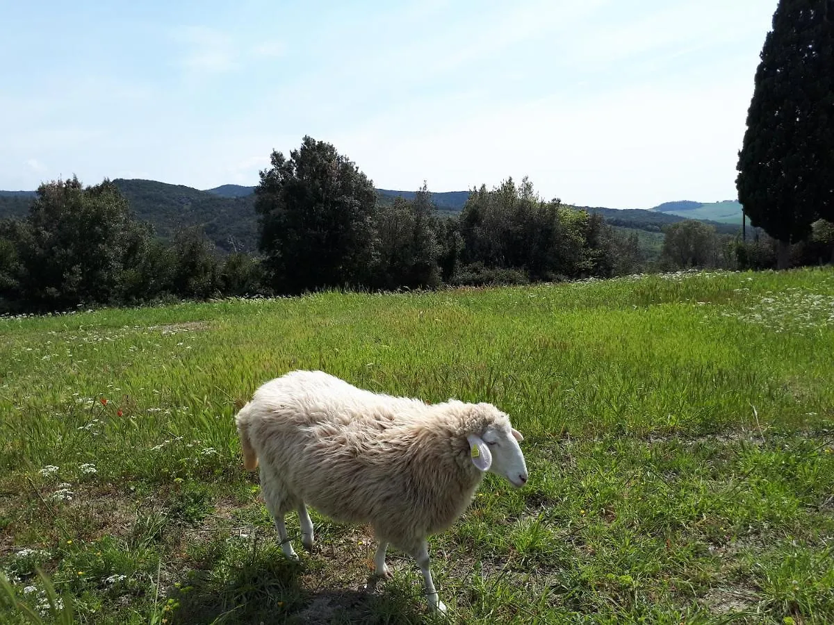 Farm stay Agriturismo Gesseta Villa Castellina Marittima Italy