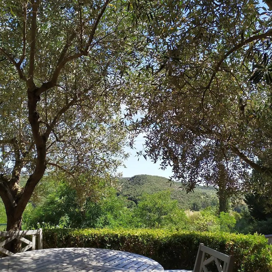 Farm stay Agriturismo Gesseta Villa Castellina Marittima Italy