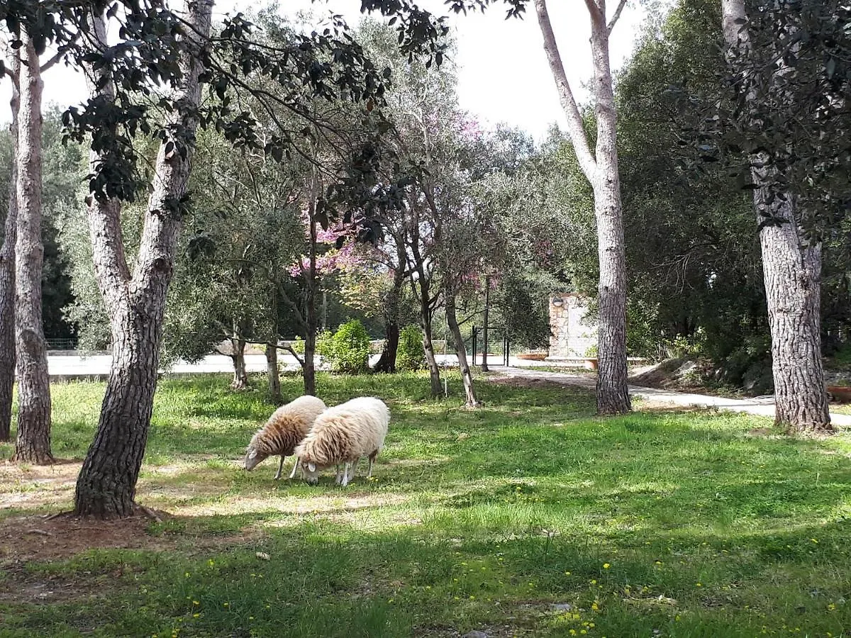Farm stay Agriturismo Gesseta Villa Castellina Marittima